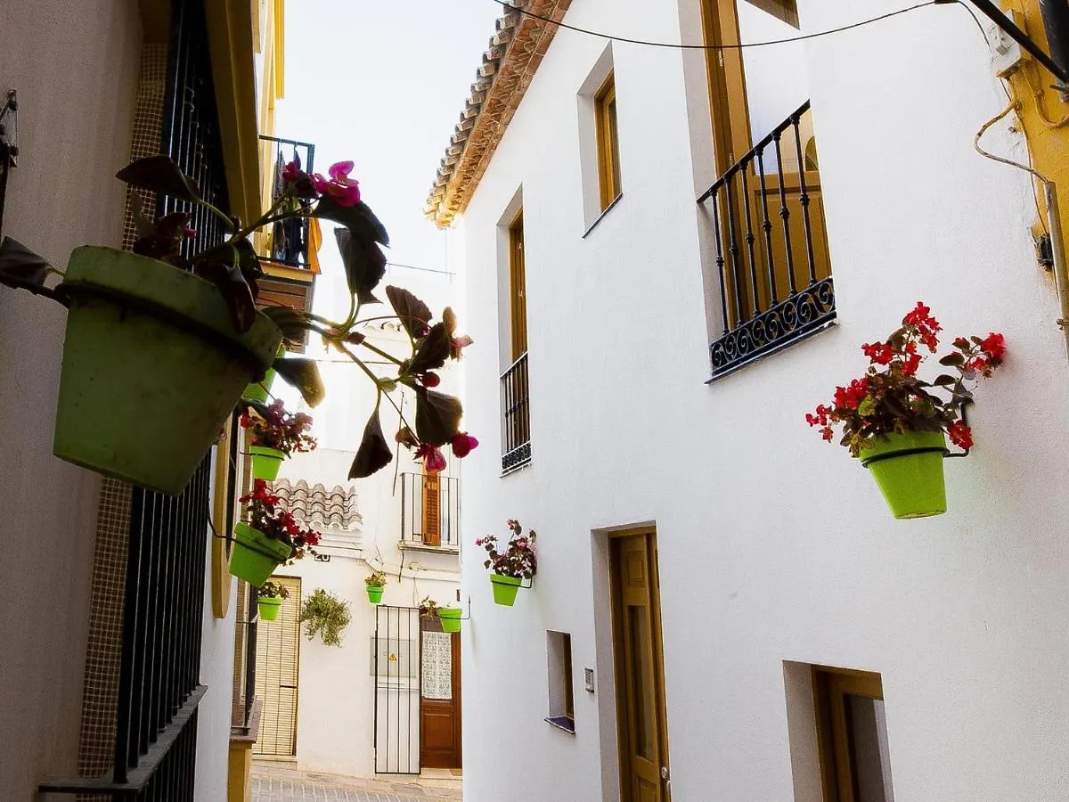 Calle Pintado 21 Bajo 에스테포나 스페인